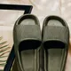 Green__Travel khushi