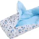 Blue__Tinykart
