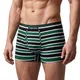 Forrest Green Black Stripes__Deon