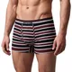 Burgandy Black Stripes__Deon