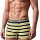 Lemon Yellow Navy Blue Stripes__Deon