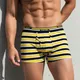 Lemon Yellow Navy Blue Stripes__Deon