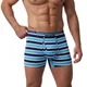 Sky Blue Navy Blue Stripes__Deon