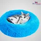 Blue__Zexsazone