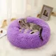 Purple__Zexsazone