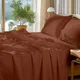 Brown__Sleepino