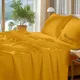 Gold__Sleepino