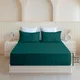 Teal__Sleepino