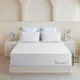 White__Sleepino