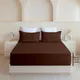 Brown__Sleepino