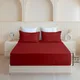 Burgundy__Sleepino