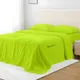 Parrot Green__Sleepino