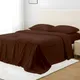 Brown__Sleepino