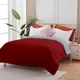 Burgundy & Silver__Sleepino