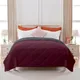 Wine__Sleepino