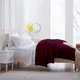 Wine__Sleepino