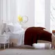 Brown__Sleepino