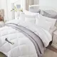 White__Sleepino