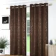 Brown__LA Elite