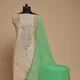 Light Green__Blush Naaz Fashions