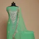 Light Green__Blush Naaz Fashions