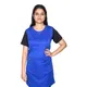 Blue__Anjor