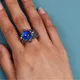 Blue__Ringzinnie