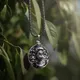 Silver__Ringzinnie
