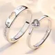 Silver__Ringzinnie