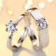 Silver__Ringzinnie