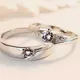 Silver & Platinum__Ringzinnie