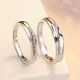 Silver__Ringzinnie