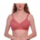 Maroon__Viral Girl