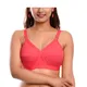 Coral Peach__Viral Girl