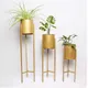 Gold__Weston Crafts