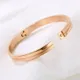 Rose Gold__ethonica
