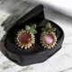 Pink & Green__The Aura Designs