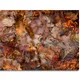 18 X 12 Inch__Sikhash
