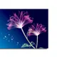 35 X 23 Inch__Sikhash
