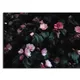 35 X 23 Inch__Sikhash