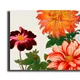 12 X 8 Inch__Sikhash