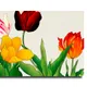 12 X 8 Inch__Sikhash