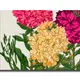 12 X 8 Inch__Sikhash