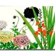 12 X 8 Inch__Sikhash