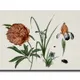 12 X 8 Inch__Sikhash