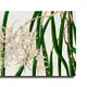 23 X 15 Inch__Sikhash