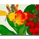 23 X 15 Inch__Sikhash