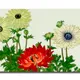 23 X 15 Inch__Sikhash
