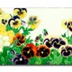 23 X 15 Inch__Sikhash