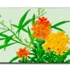 23 X 15 Inch__Sikhash